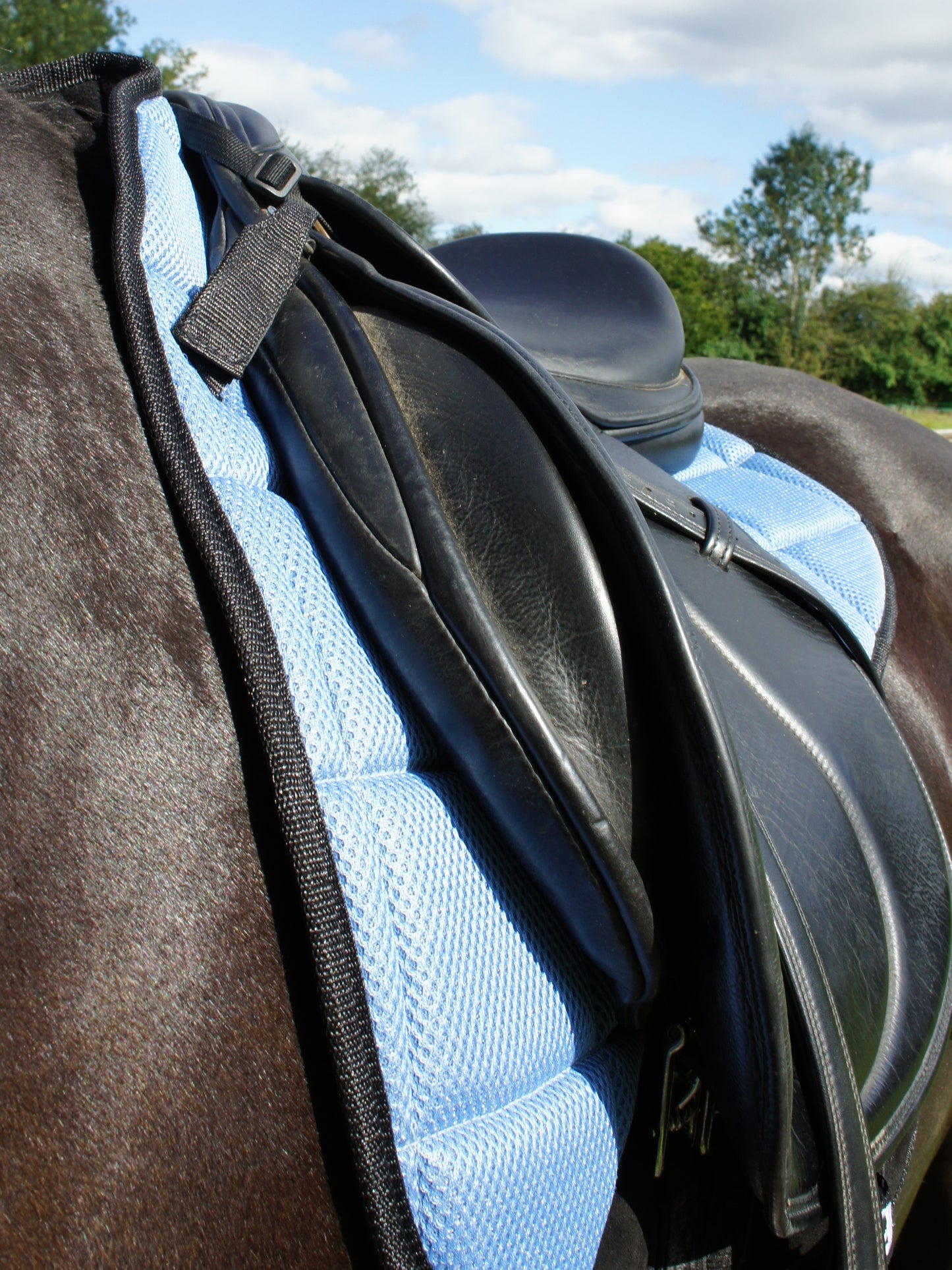 Air Flow Luxury Saddle Pad - Pastel Blue
