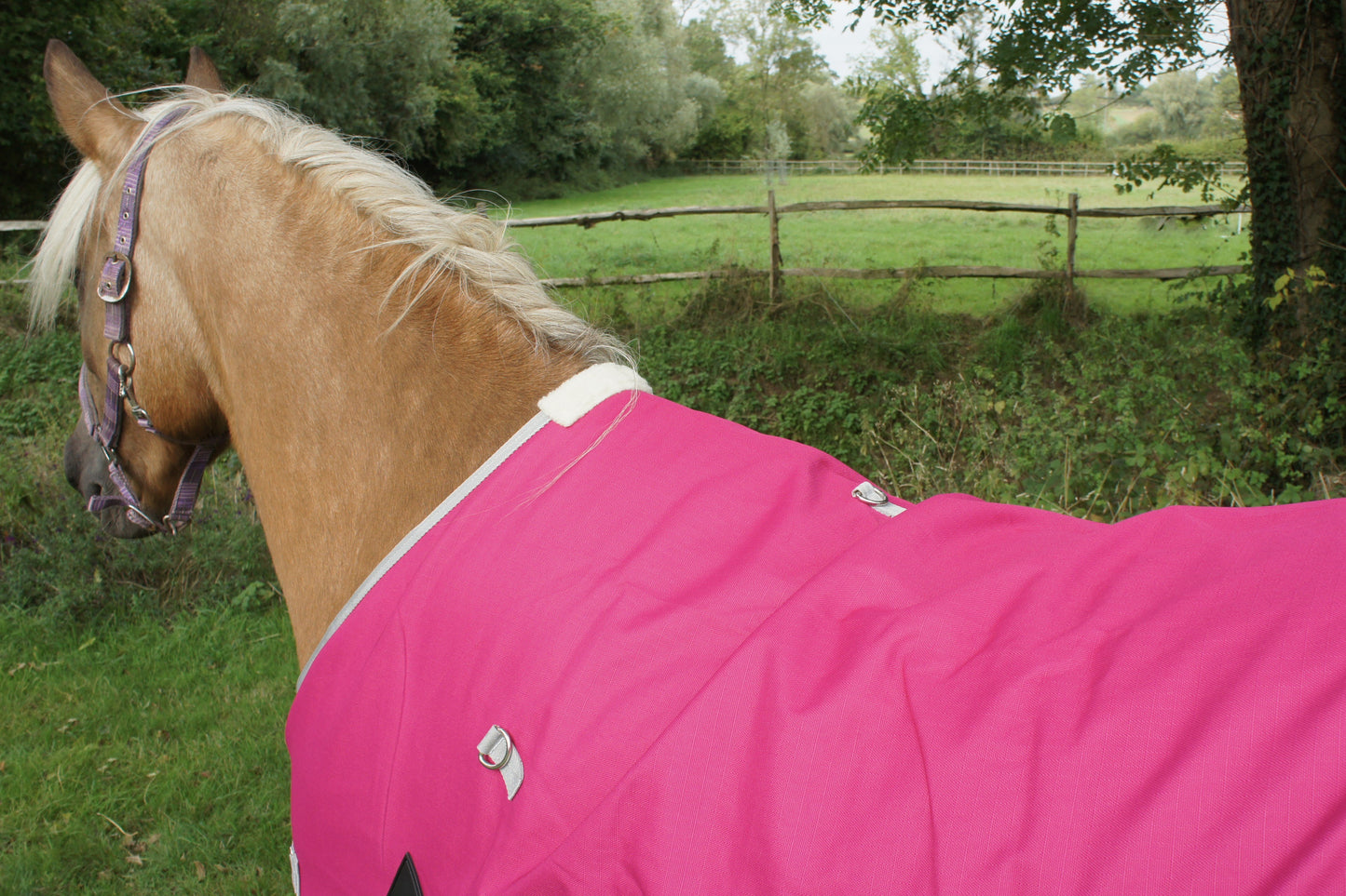 20g Turnout with Belly Cover (Pink)