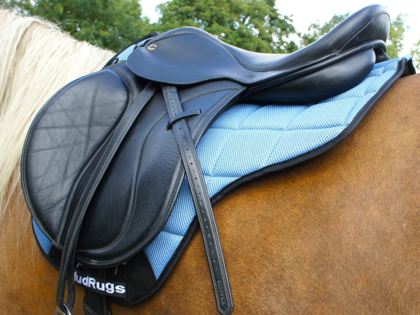 Air Flow Luxury Saddle Pad - Pastel Blue