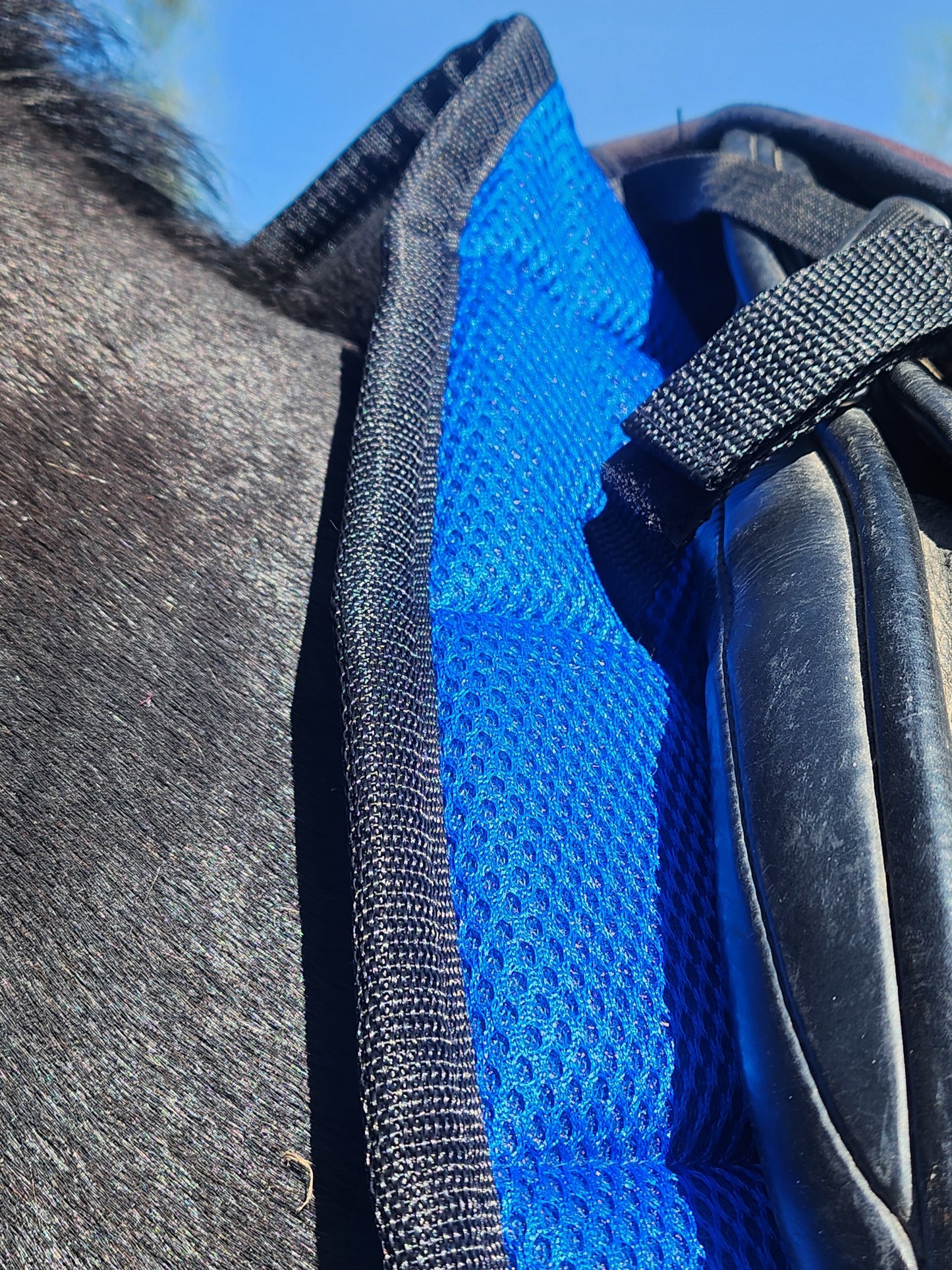 Air Flow Luxury Saddle Pad - Royal Blue