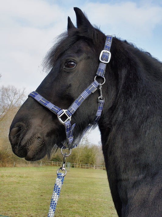 Headcollar & Lead Rope Blue Check