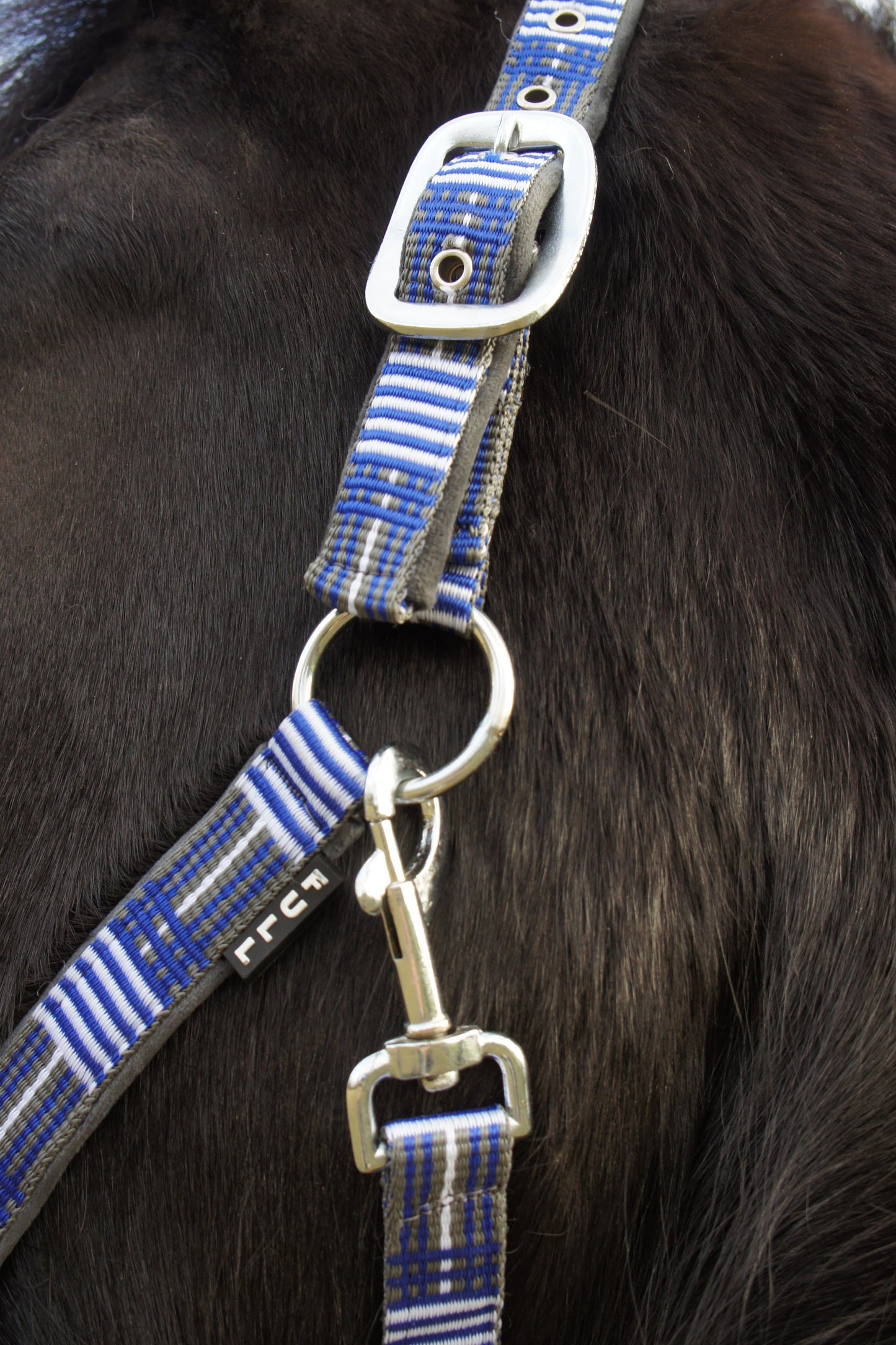 Headcollar & Lead Rope Blue Check