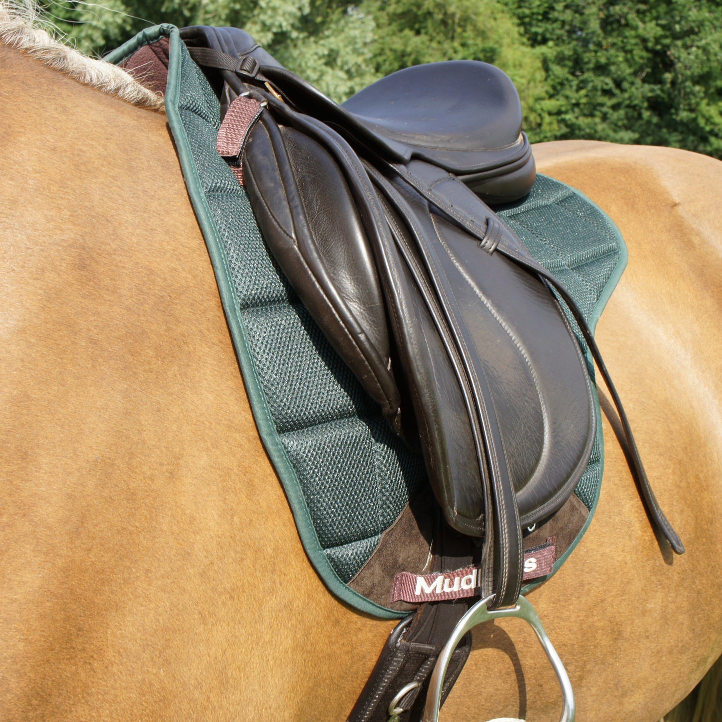 Air Flow Luxury Saddle Pad - Green