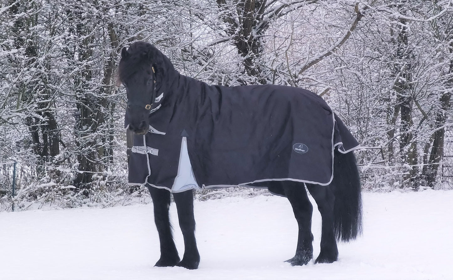 400g Combo Turnout with Belly Cover
