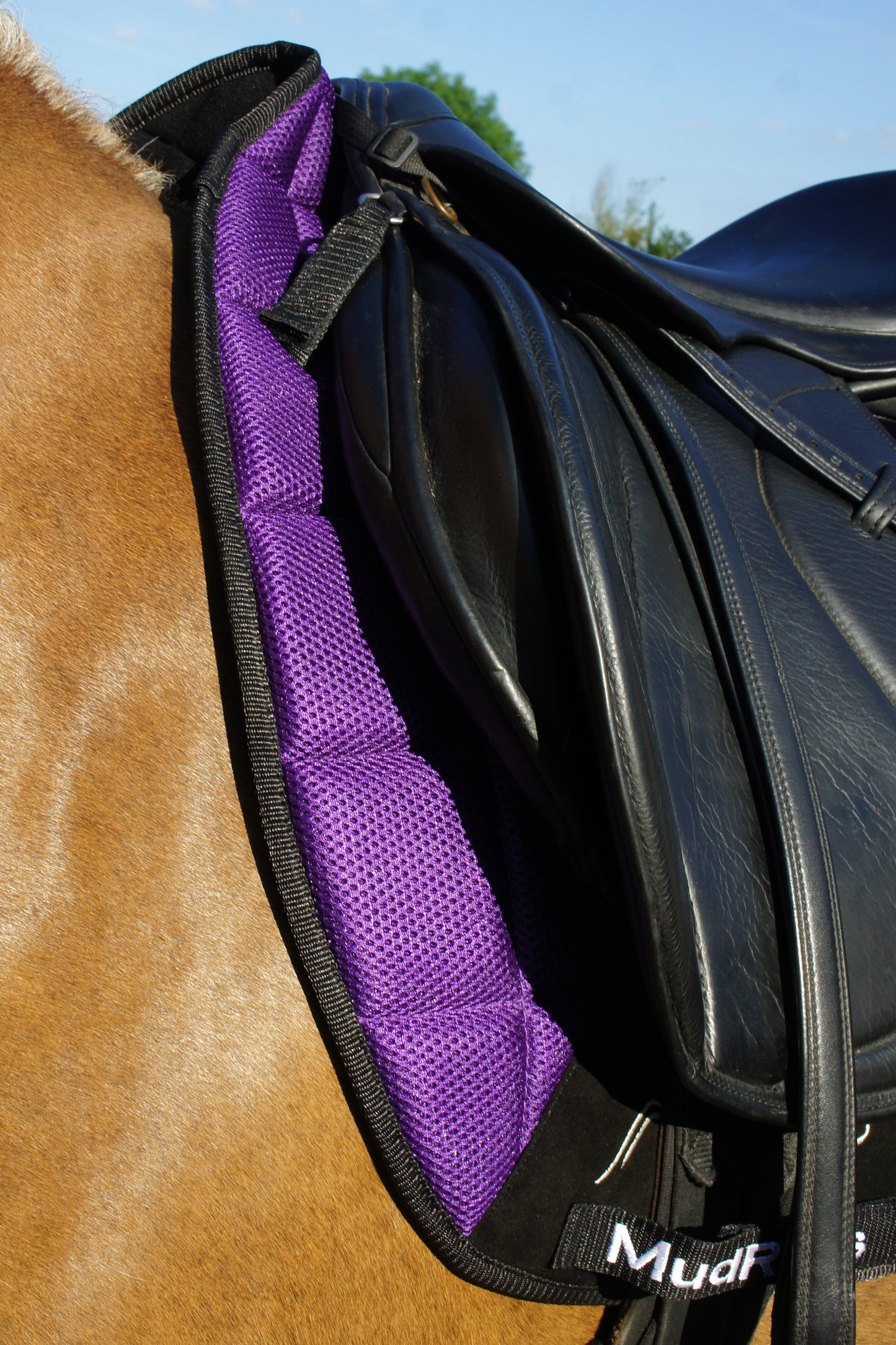 Air Flow Luxury Saddle Pad - Purple