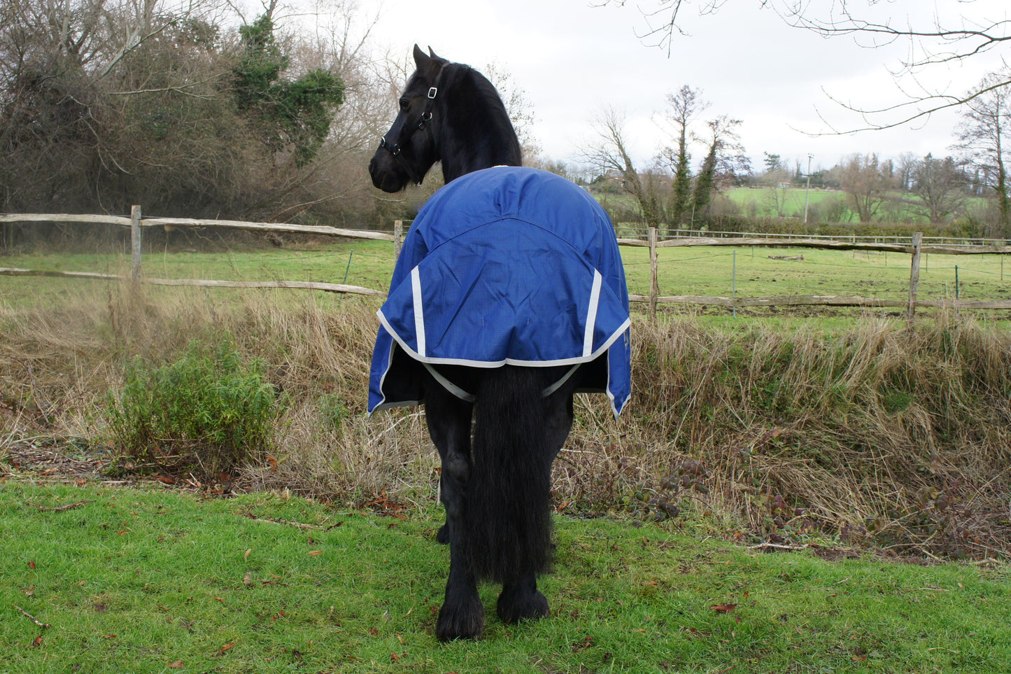 200g Turnout with Belly Cover