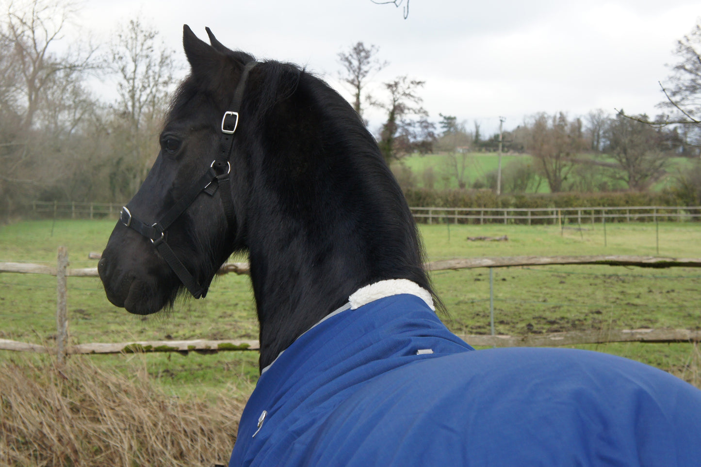 200g Turnout with Belly Cover