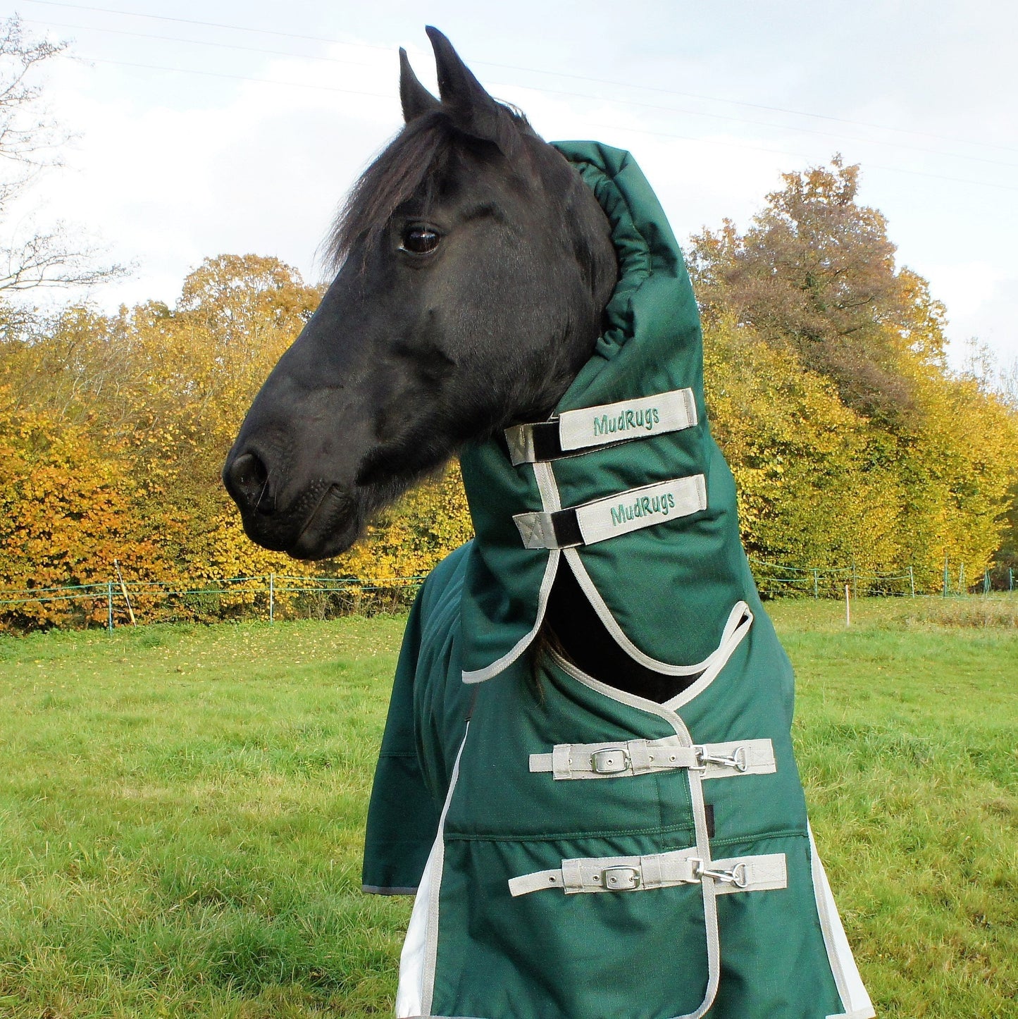 Turnout Rug with Belly Cover