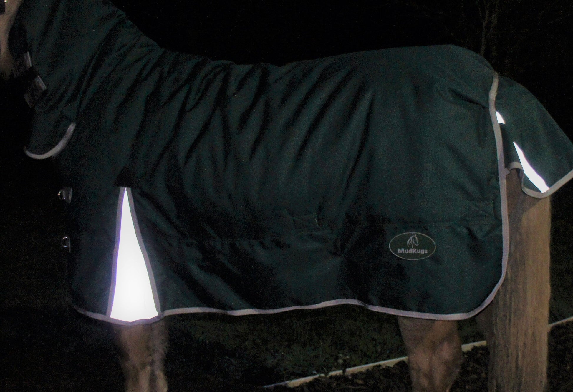 Reflective Turnout Rug
