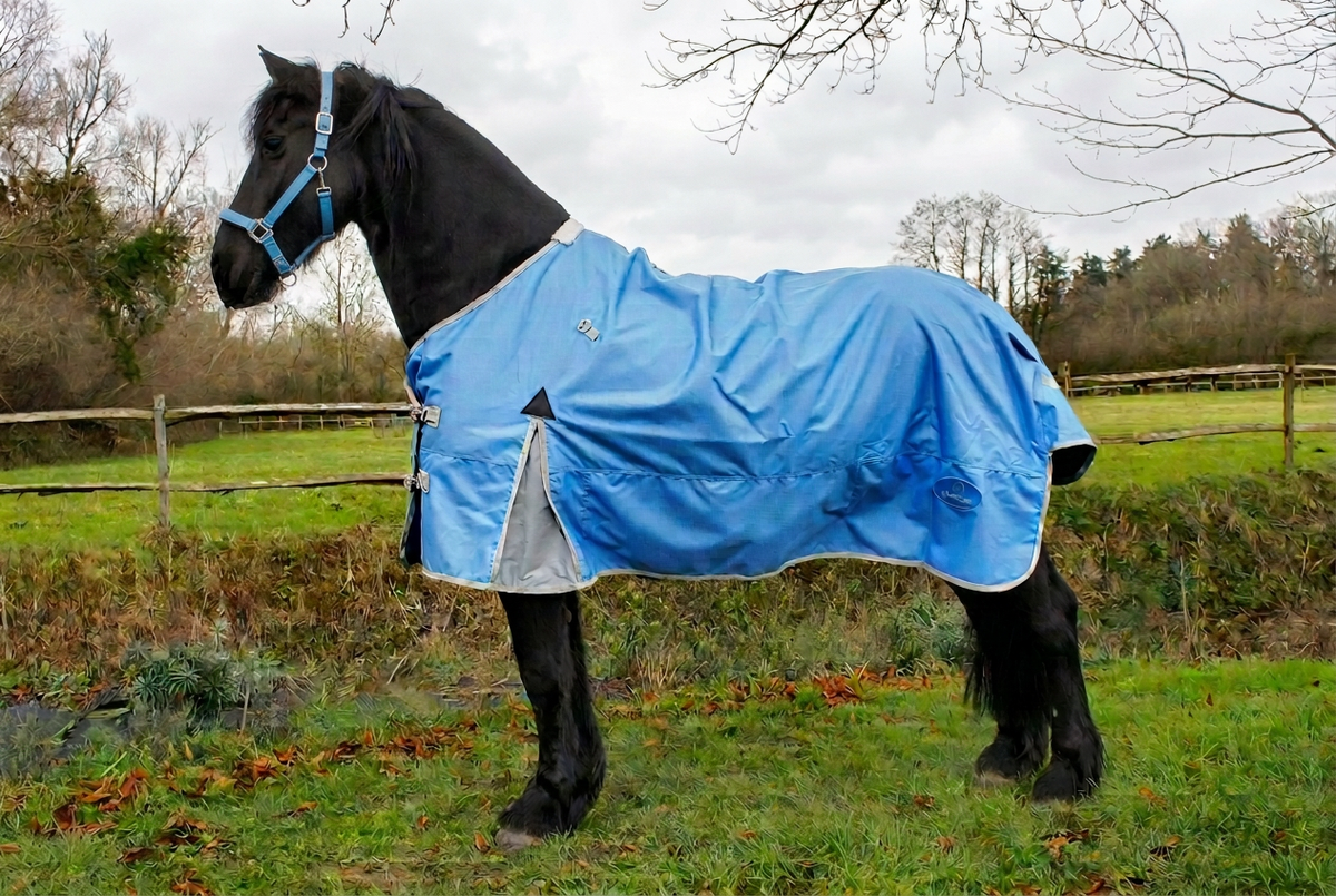 Blue turnout rug with matching blue headcollar