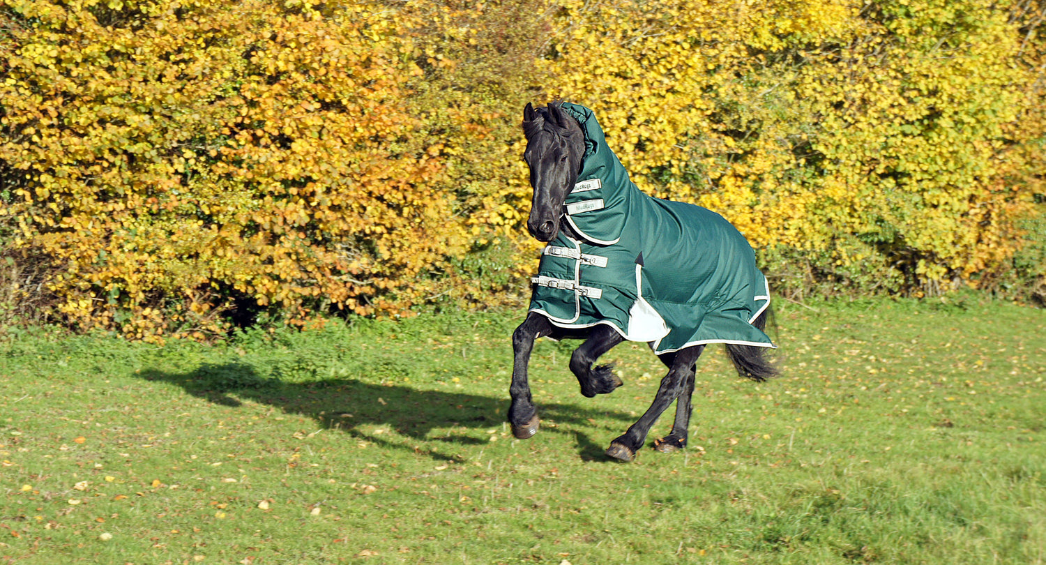 Turnout rug with belly cover, MudRugs 1200D horse rug
