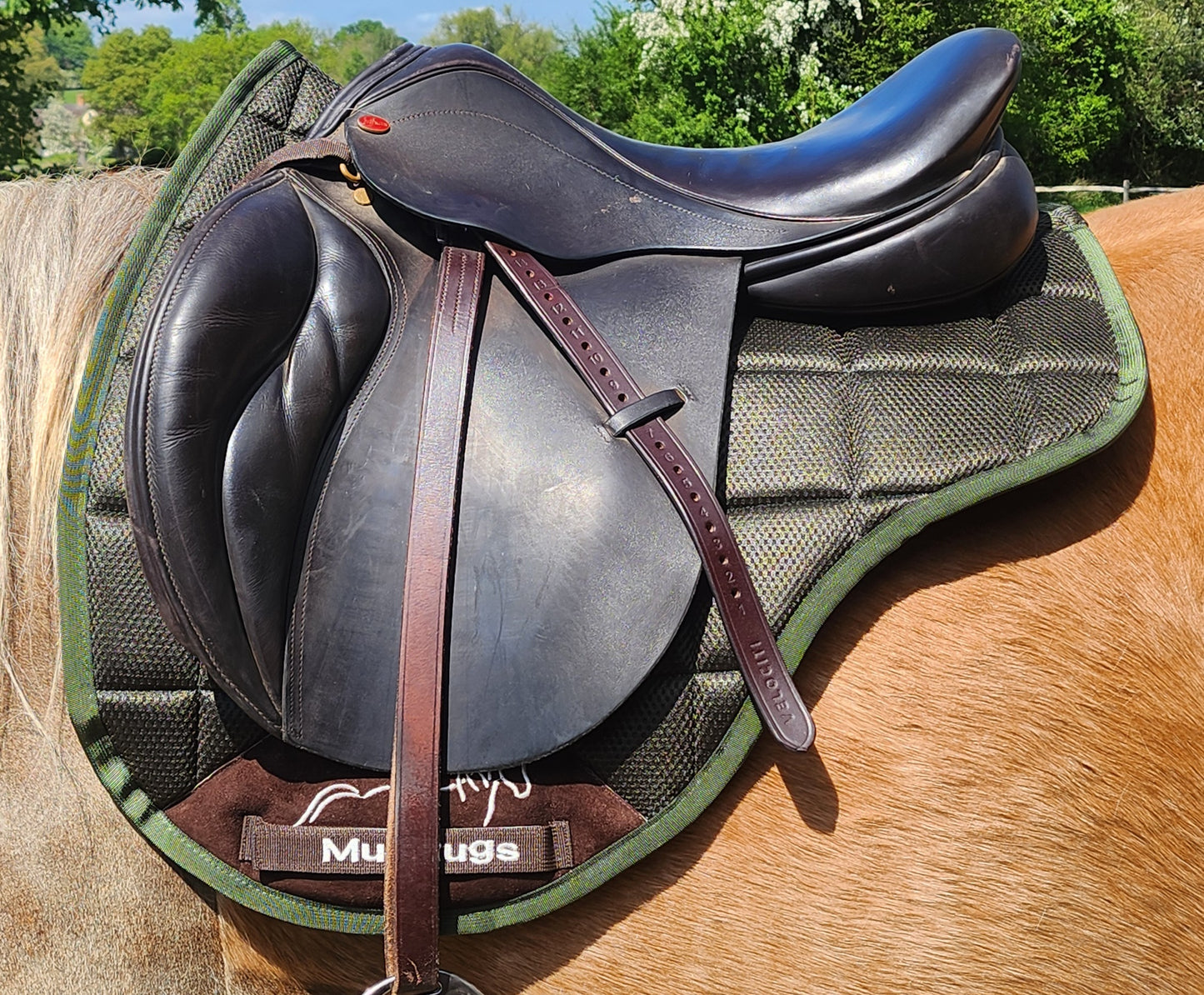 Air Flow Luxury Saddle Pad - Green