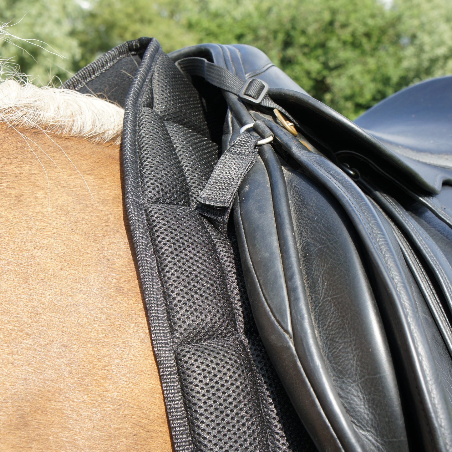 Air Flow Luxury Saddle Pad - Black