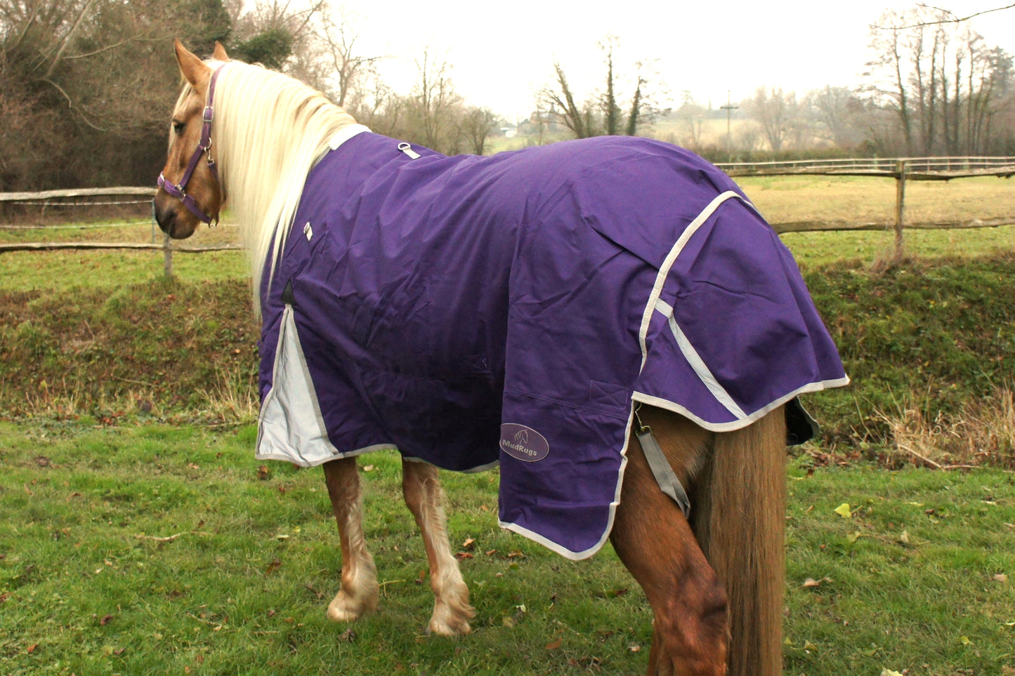 100g Turnout with Belly Cover
