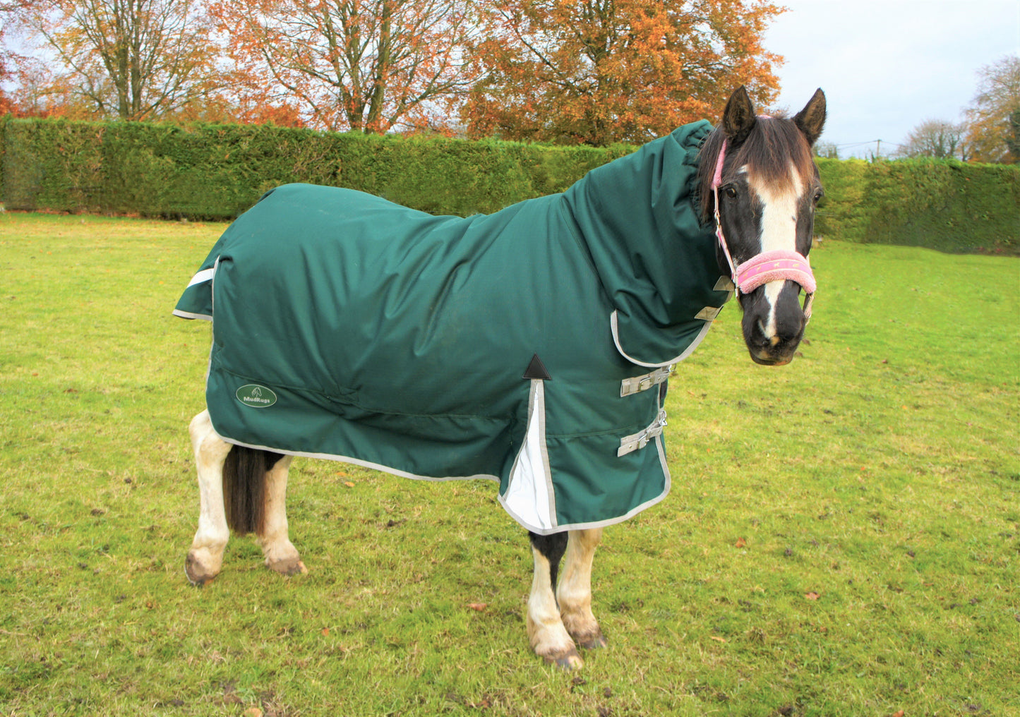 Combo Turnout Rug