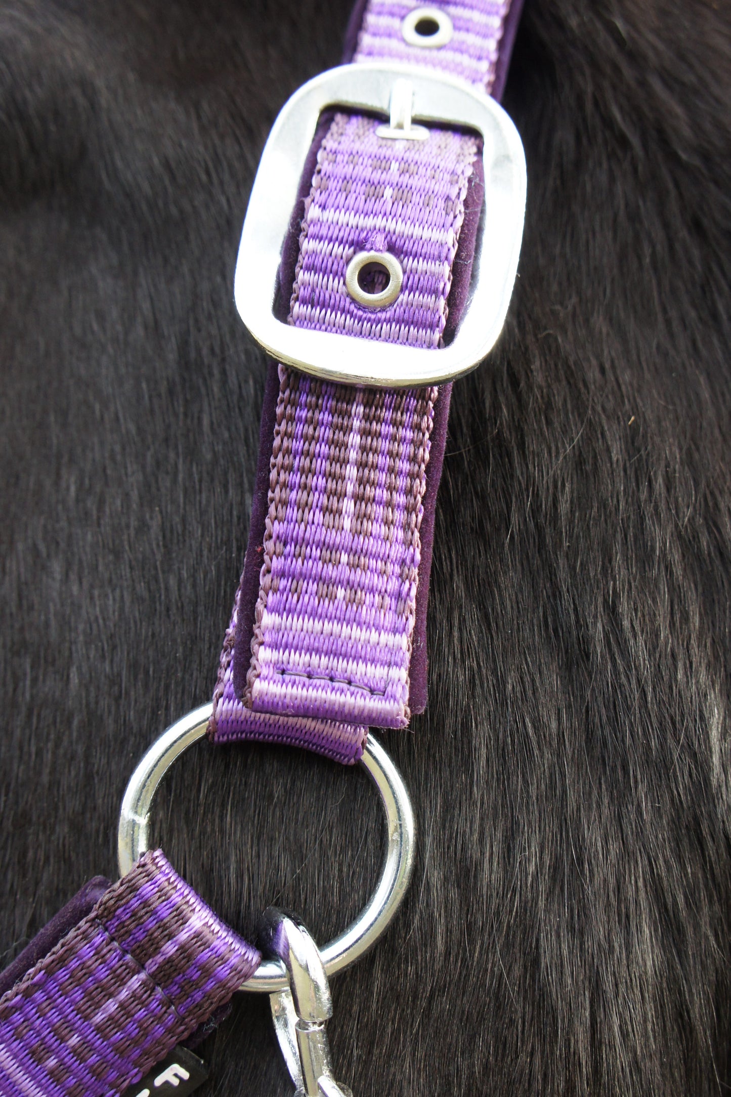 Headcollar & Lead Rope Purple Check