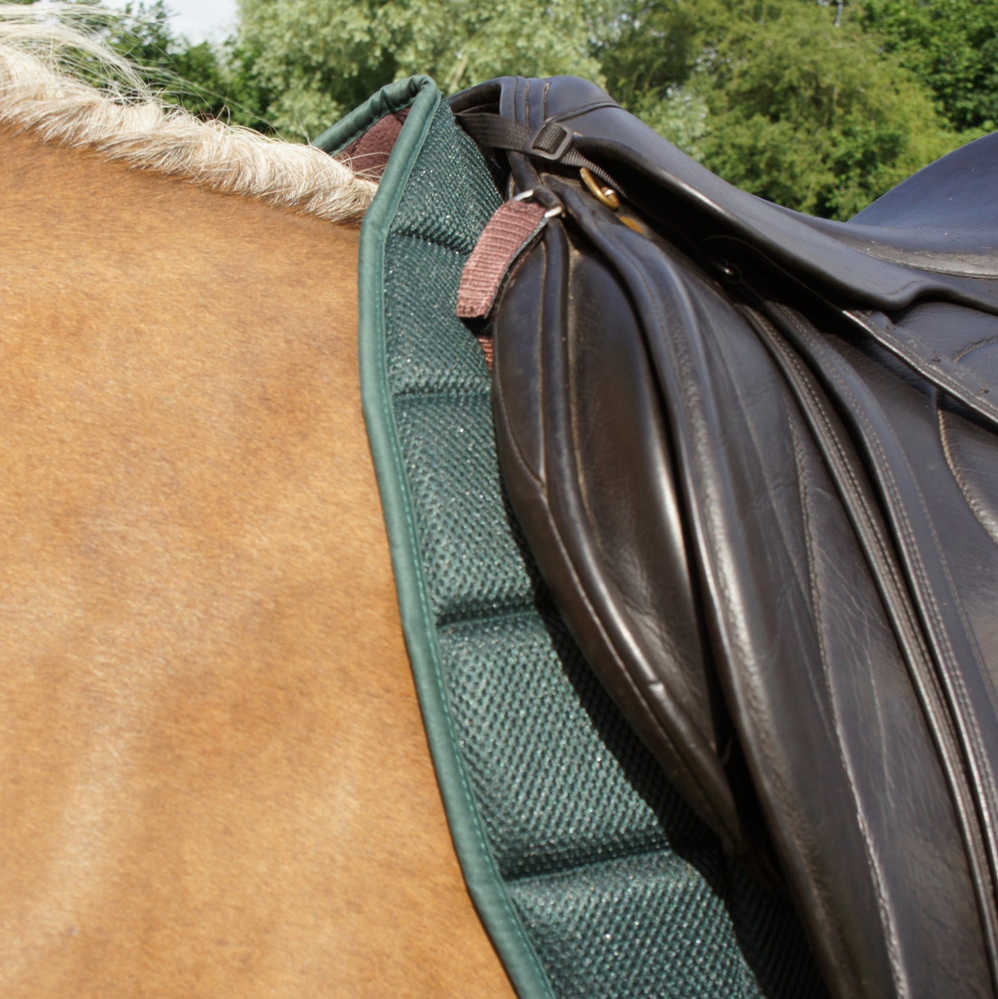 Air Flow Luxury Saddle Pad - Green